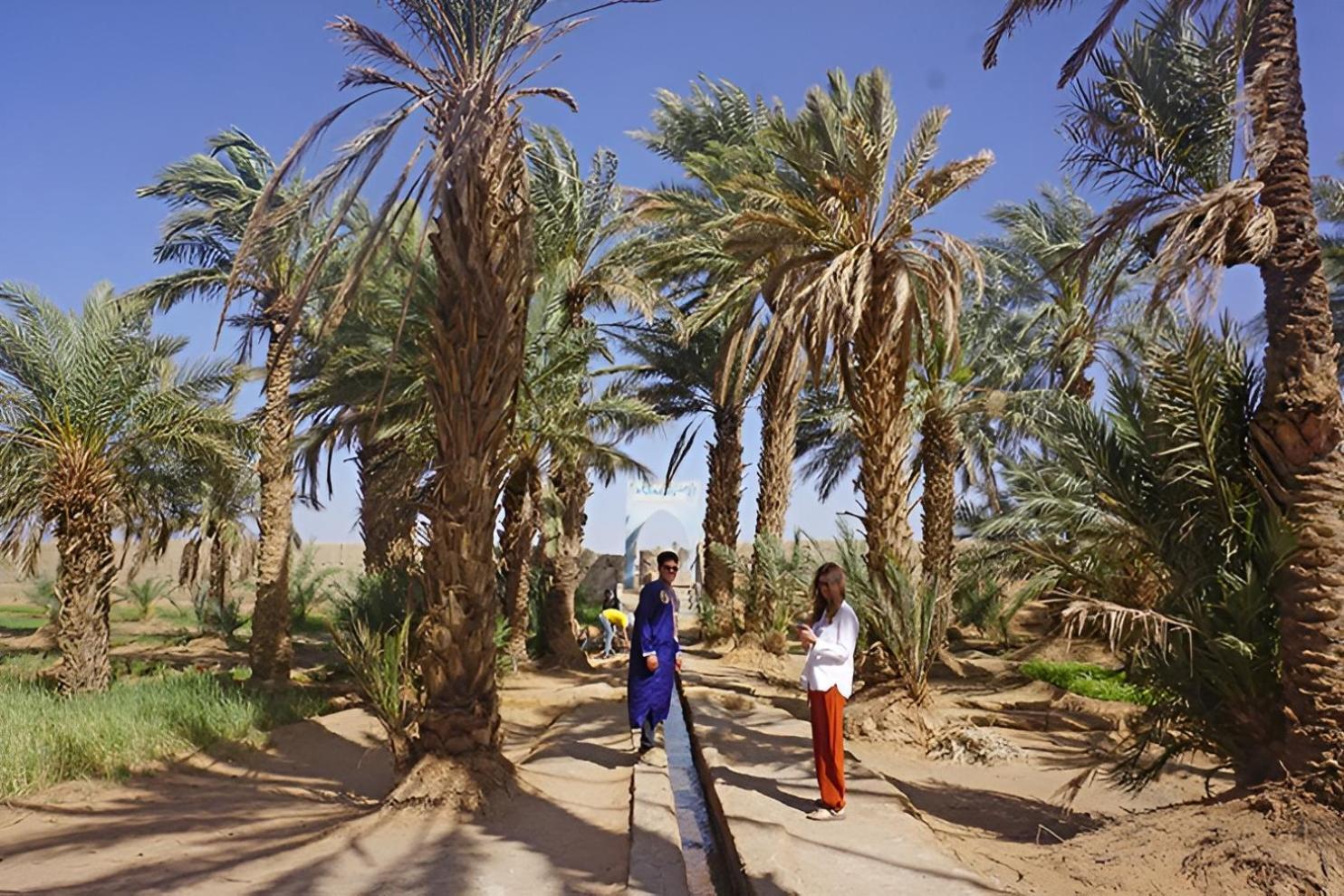 Tente de luxe Nights Luxury Camp