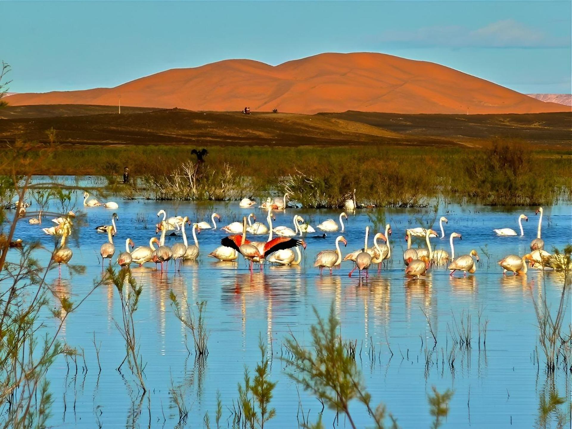 Nights Luxury Camp Merzouga